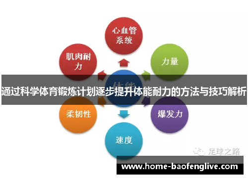 通过科学体育锻炼计划逐步提升体能耐力的方法与技巧解析